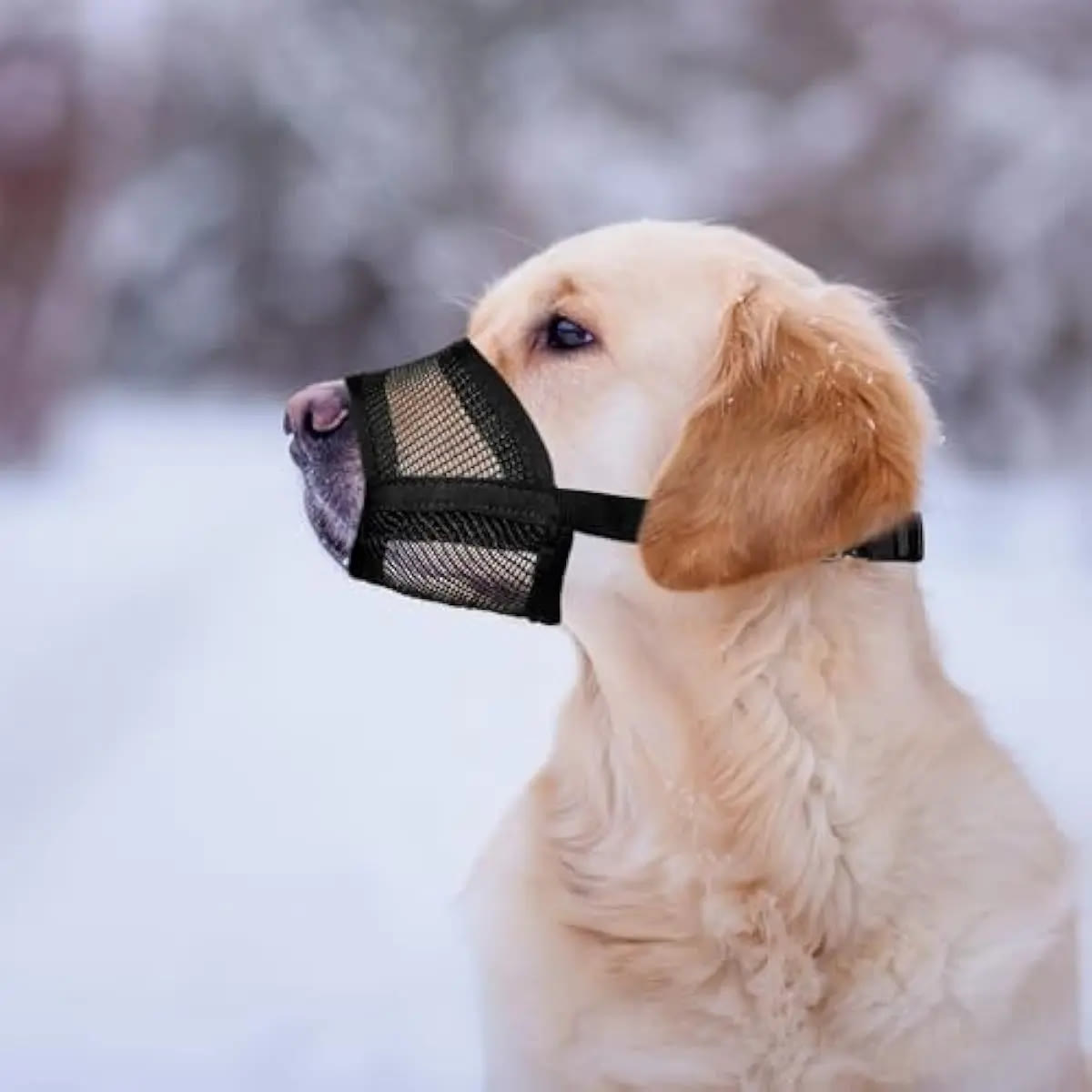 Heeipaw Dog Muzzle for Varies Dogs - Air Mesh Muzzle for Varies Sized Dog | Adjustable No Bark Dogs Muzzles for Scavenging Licki - Black - XL - image 1