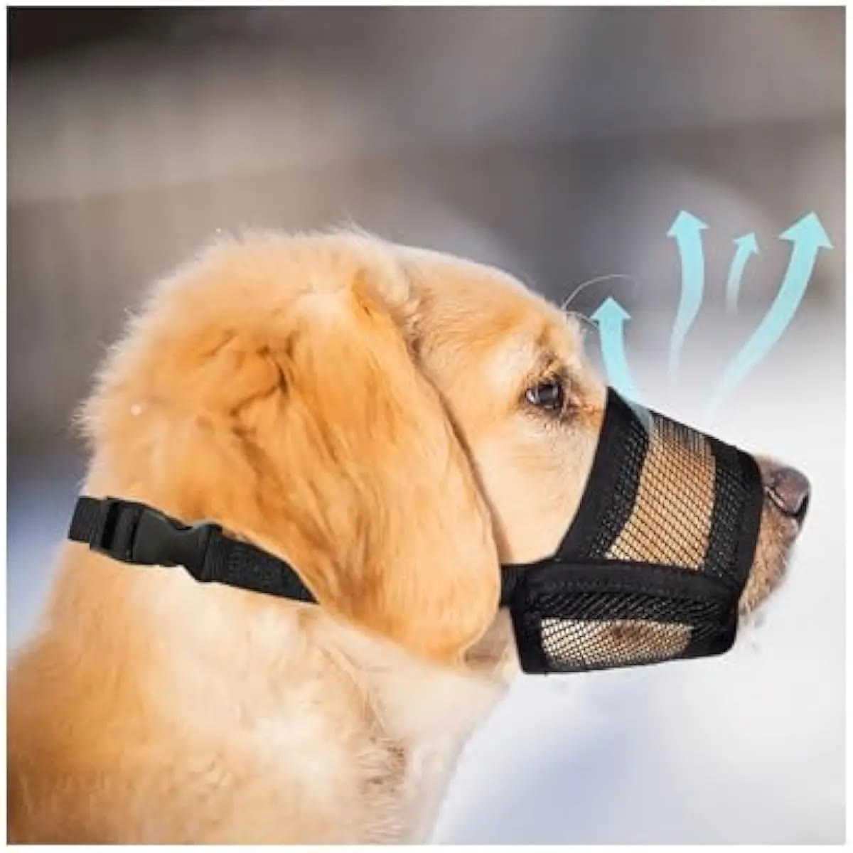 Heeipaw Dog Muzzle for Varies Dogs - Air Mesh Muzzle for Varies Sized Dog | Adjustable No Bark Dogs Muzzles for Scavenging Licki - image 3