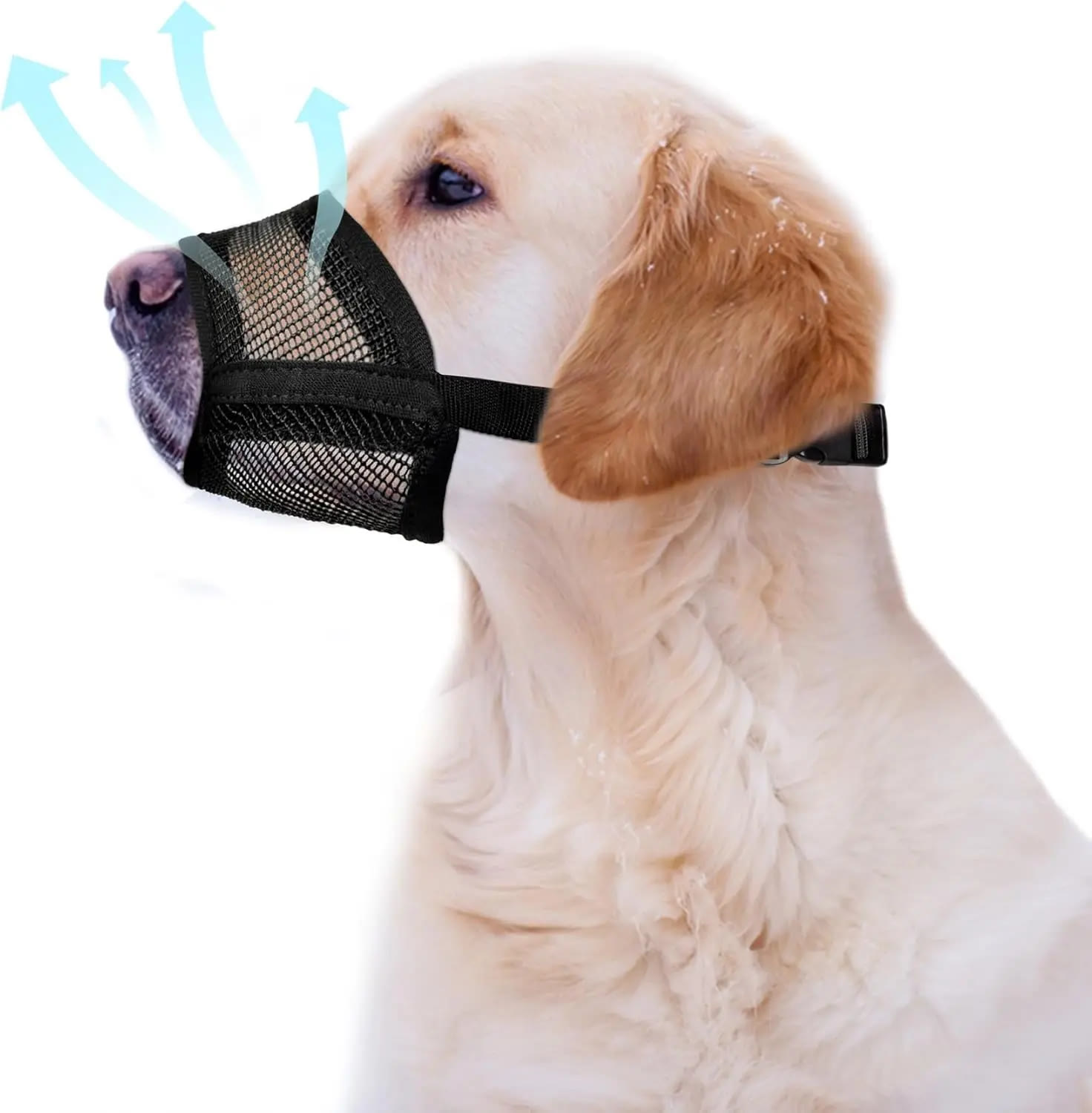 Heeipaw Dog Muzzle for Varies Dogs - Air Mesh Muzzle for Varies Sized Dog | Adjustable No Bark Dogs Muzzles for Scavenging Licki - image 8
