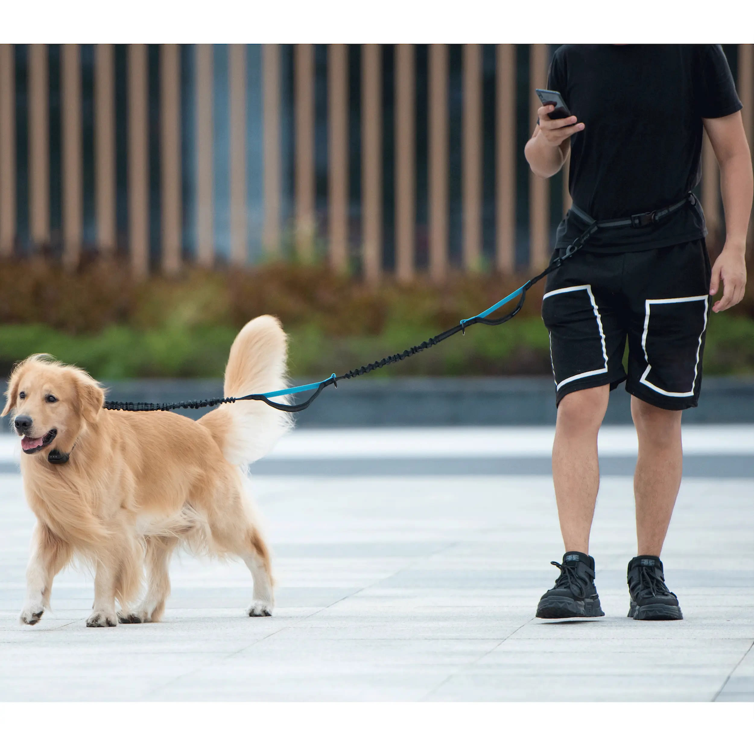 Heeipaw Hands Free Dog Leash with Zipper Pouch, Dual Padded Handles and Durable Bungee for Walking, Jogging and Running Your Dog - image 1