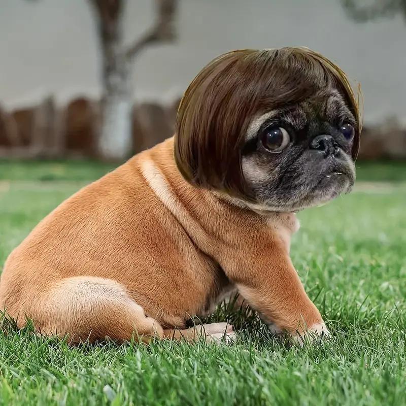 Heeipaw Cute Short Hair Wig Pet Headband, Funny Dog & Cat Costume Accessory, Adorable Pet Photo Prop for Parties and Daily Wear
