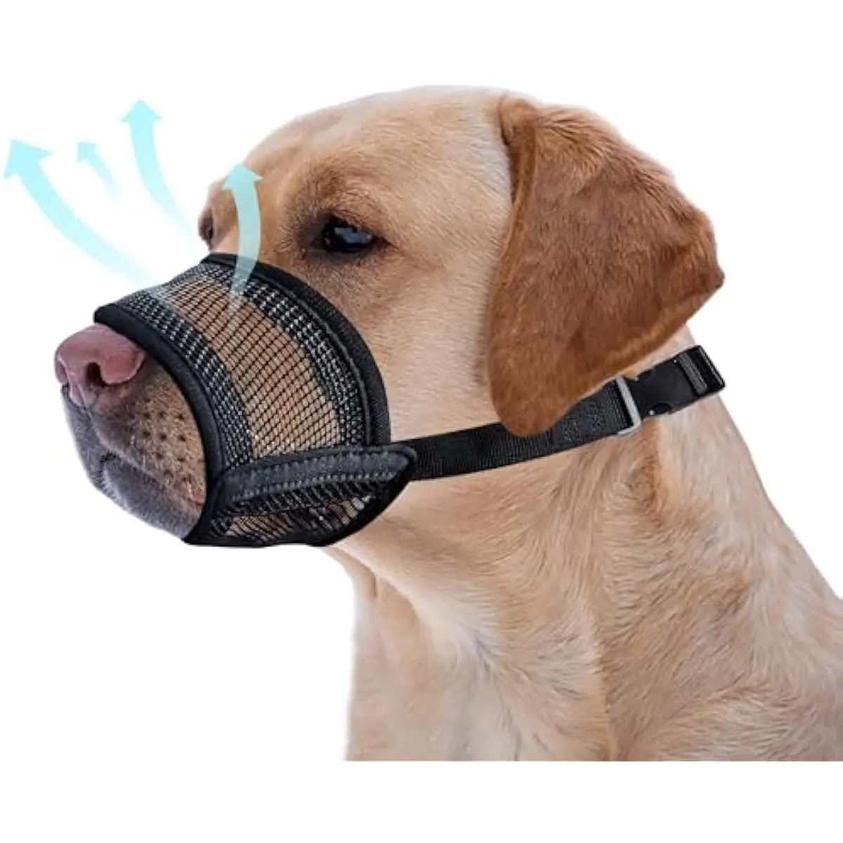 Heeipaw Dog Muzzle for Varies Dogs - Air Mesh Muzzle for Varies Sized Dog | Adjustable No Bark Dogs Muzzles for Scavenging Licki - image 7