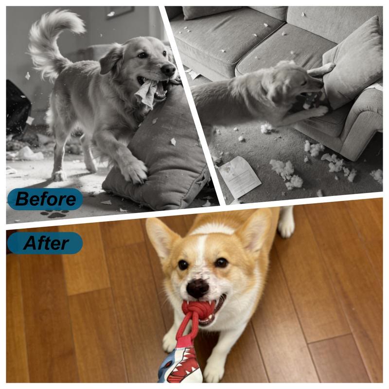 Heeipaw Squeaky Tug Rope Toy – Interactive Chew & Training Toy For Happy, Healthy Dogs - image 4