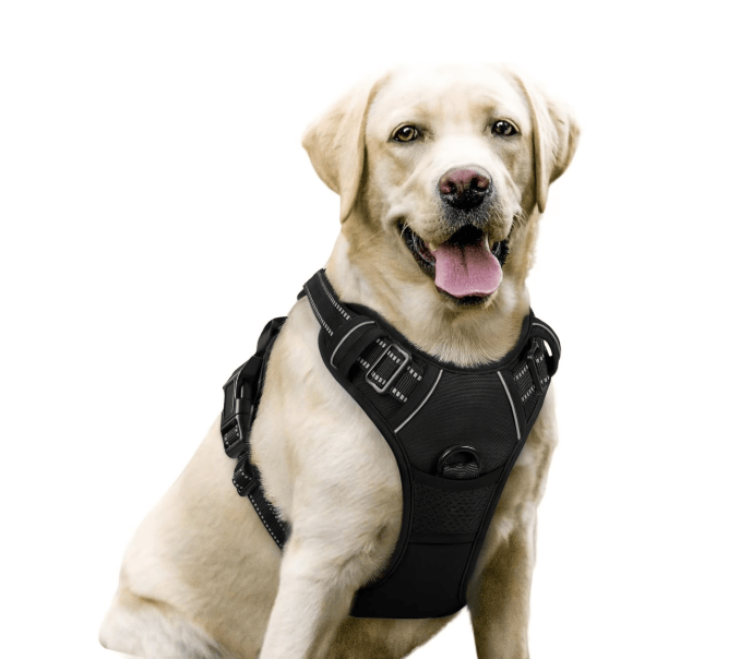 Heeipaw Adjustable H-shaped Dog Harness With Leash, No-pull Anti-choke Pet Vest, Breathable Walking Harness For Small, Medium & Large Dogs - image 3