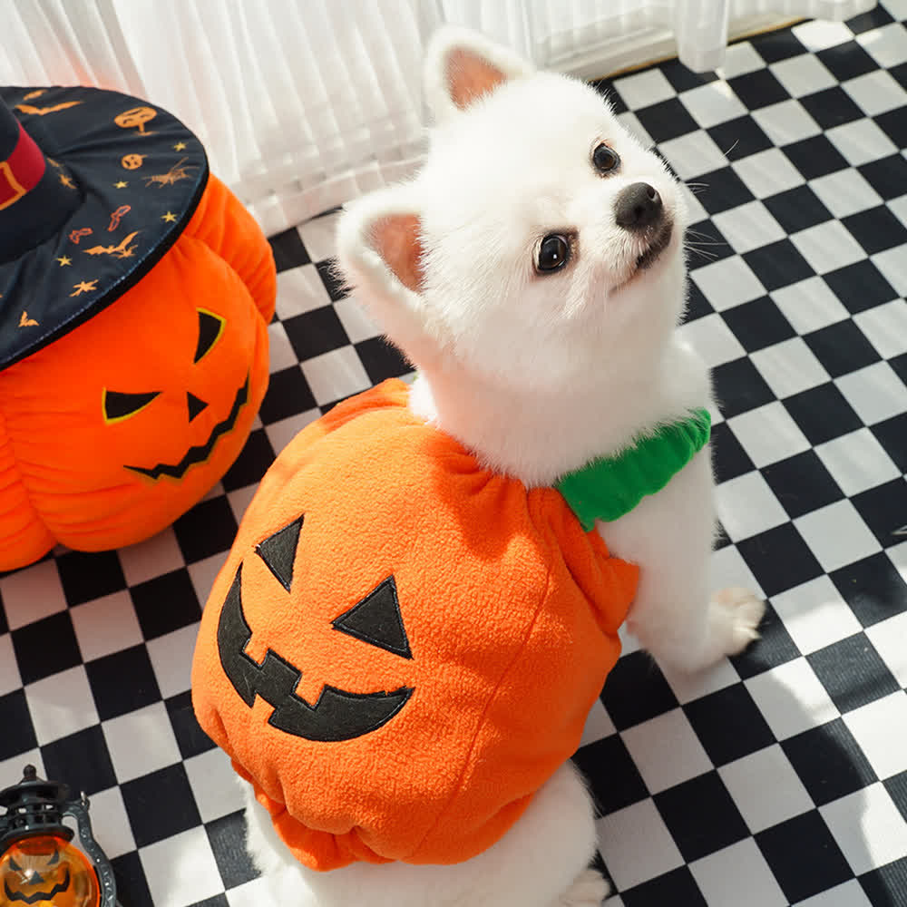 Heeipaw Pumpkin Dog Clothes – Cute Halloween & Christmas Pet Outfit for Small Dogs, Cats, Puppies & Parties  - image 1