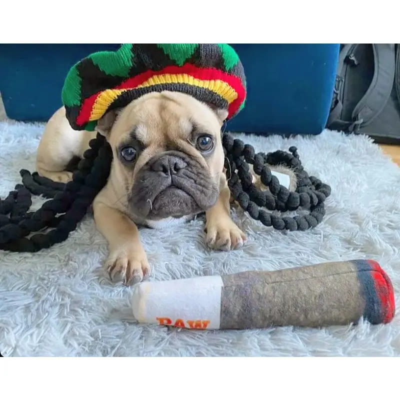 Heeipaw Funny Cigar Plush Dog Toy, Squeaky Interactive Chew Toy for Dogs, Soft Stuffed Puppy Toy for Playtime & Training - image 6