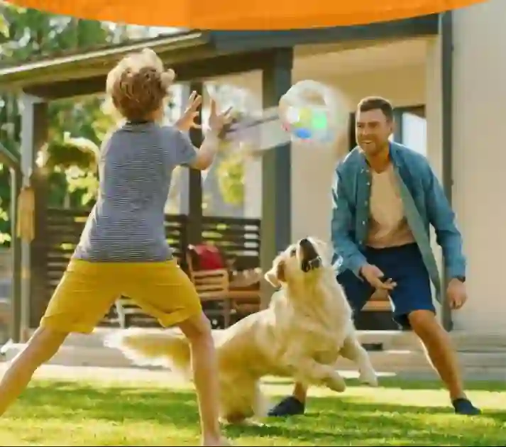 Heeipaw Interactive Dog Ball – Durable Football Toy With Grip Handle For Fetch, Training & Endless Playtime - image 4