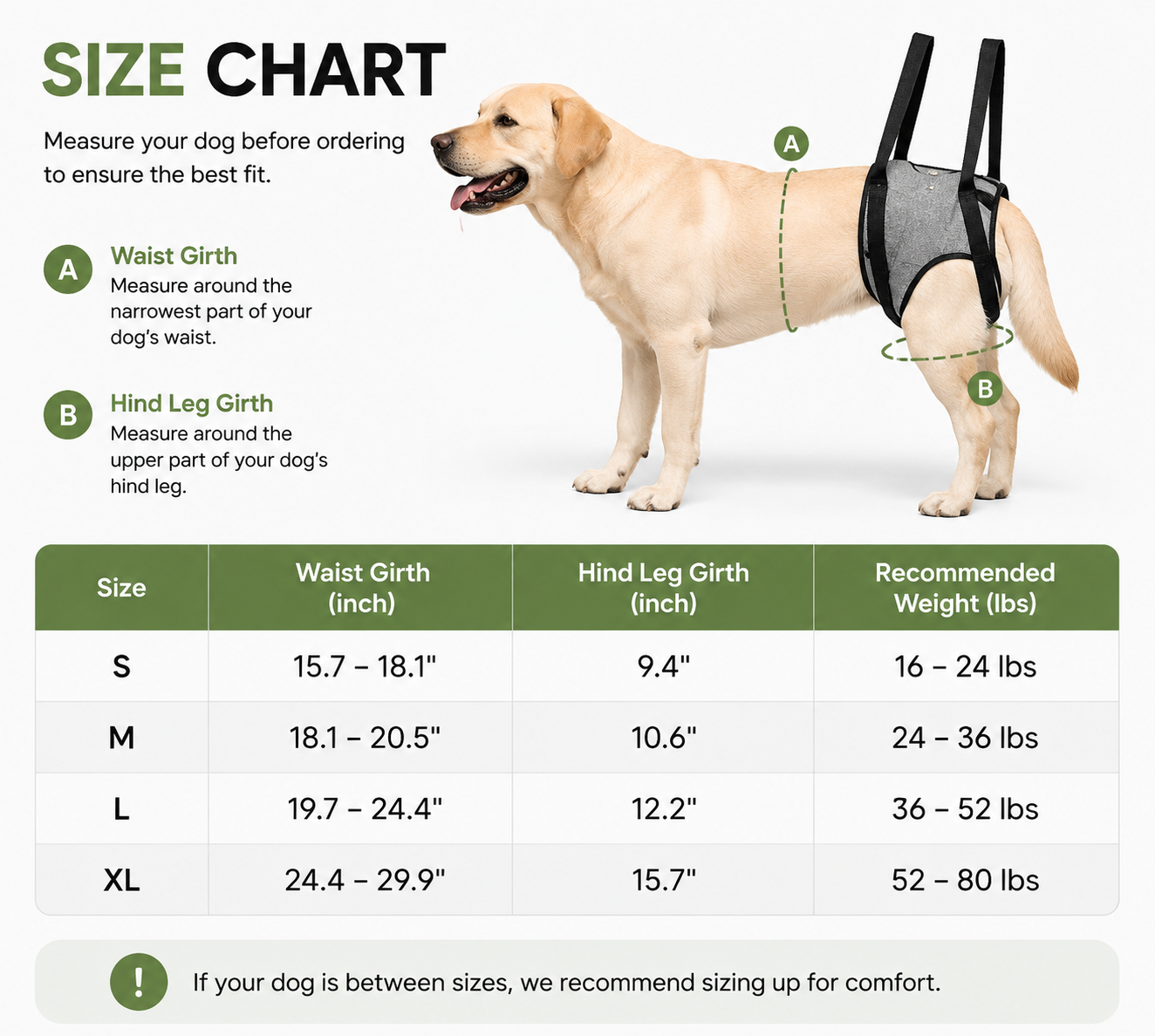 Heeipaw Dog Lift Harness for Rear Legs – Supportive Mobility Aid for Senior Dogs & Injured Pets