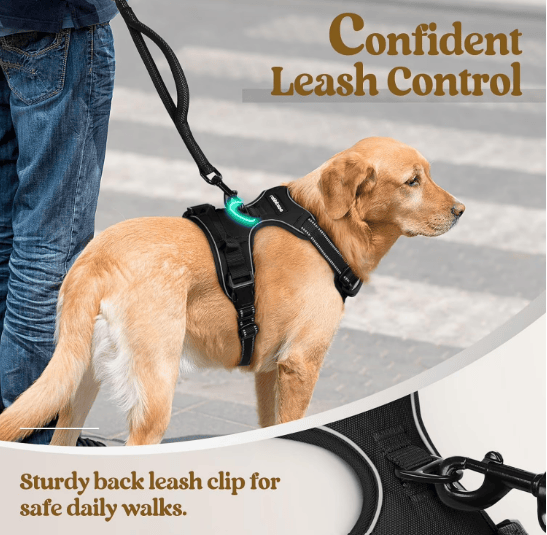 Heeipaw Adjustable H-shaped Dog Harness With Leash, No-pull Anti-choke Pet Vest, Breathable Walking Harness For Small, Medium & Large Dogs - image 5
