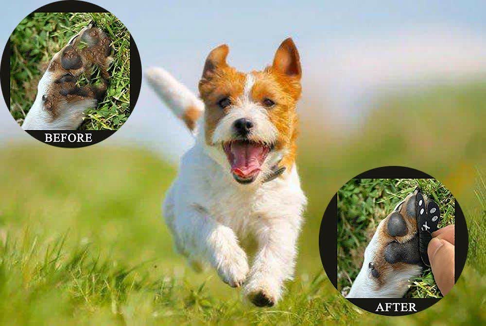 Heeipaw Anti-Slip Dog Paw Grips – Invisible Paw Protector Stickers for Better Traction, Toe Pads for Dogs Walking on Smooth Floors - image 6
