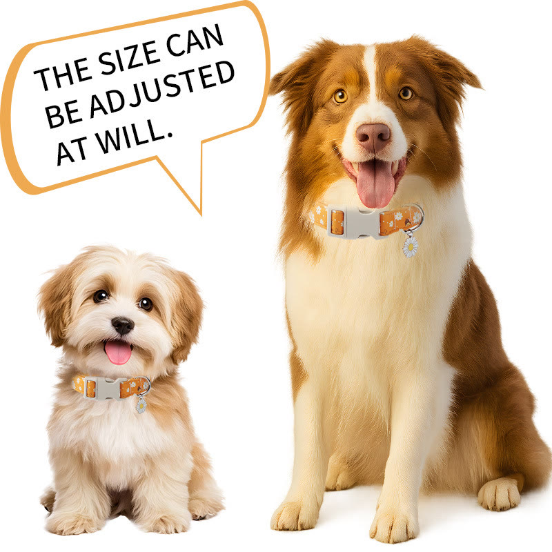 Heeipaw Stylish Dog Collar, Durable Adjustable Pet Collar for Small, Medium & Large Dogs - image 11