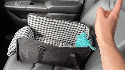 Quick dog car seat installation