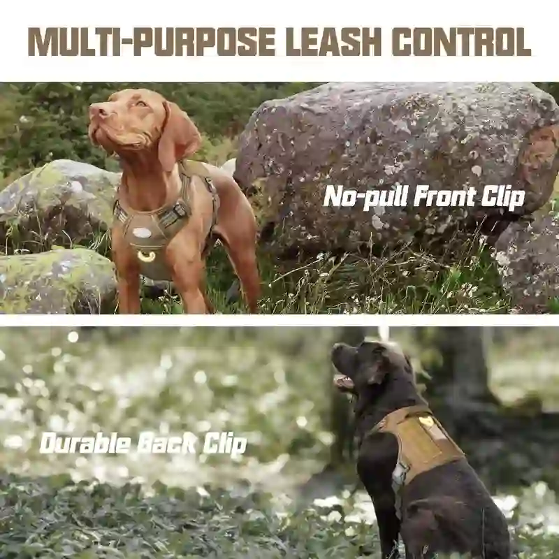 Heeipaw Universal Harness, Walking Harness & Safety Harnesses for Small to Large Dogs, Durable Reflective, Easy to Control - image 9