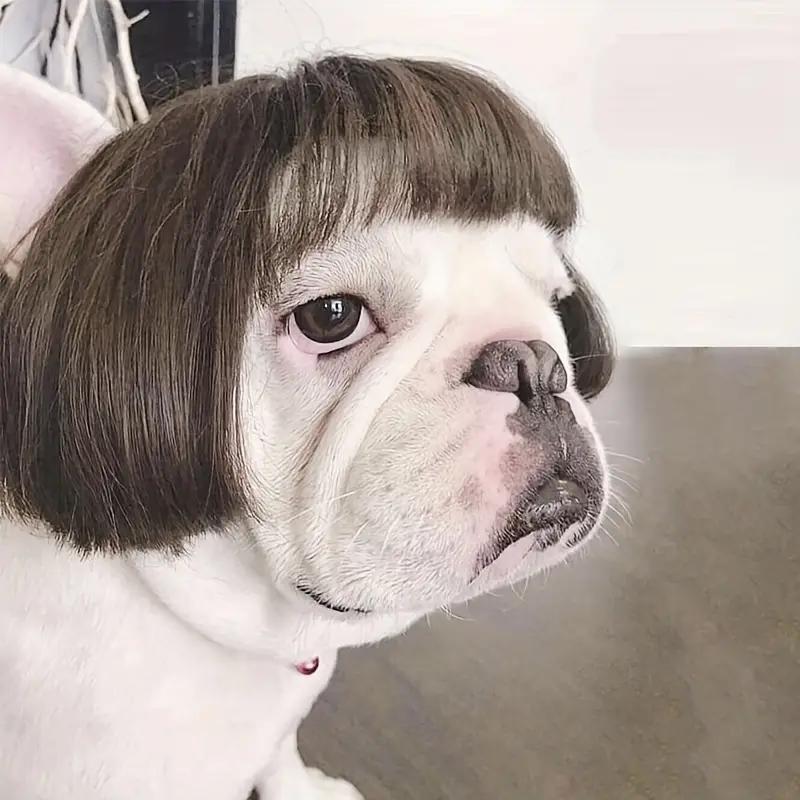 Heeipaw Cute Short Hair Wig Pet Headband, Funny Dog & Cat Costume Accessory, Adorable Pet Photo Prop for Parties and Daily Wear
