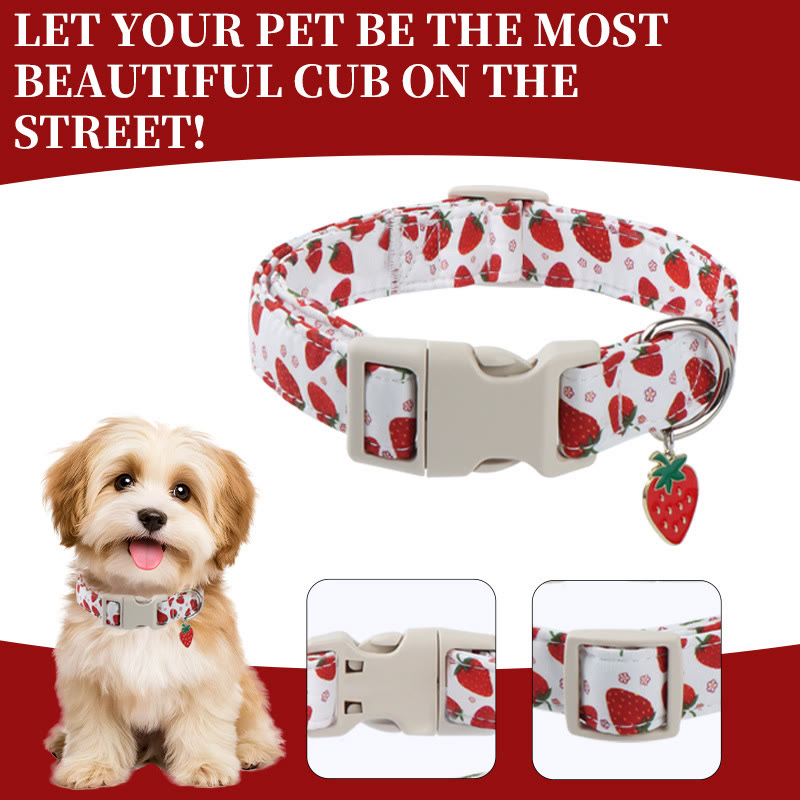 Heeipaw Stylish Dog Collar, Durable Adjustable Pet Collar for Small, Medium & Large Dogs - image 12