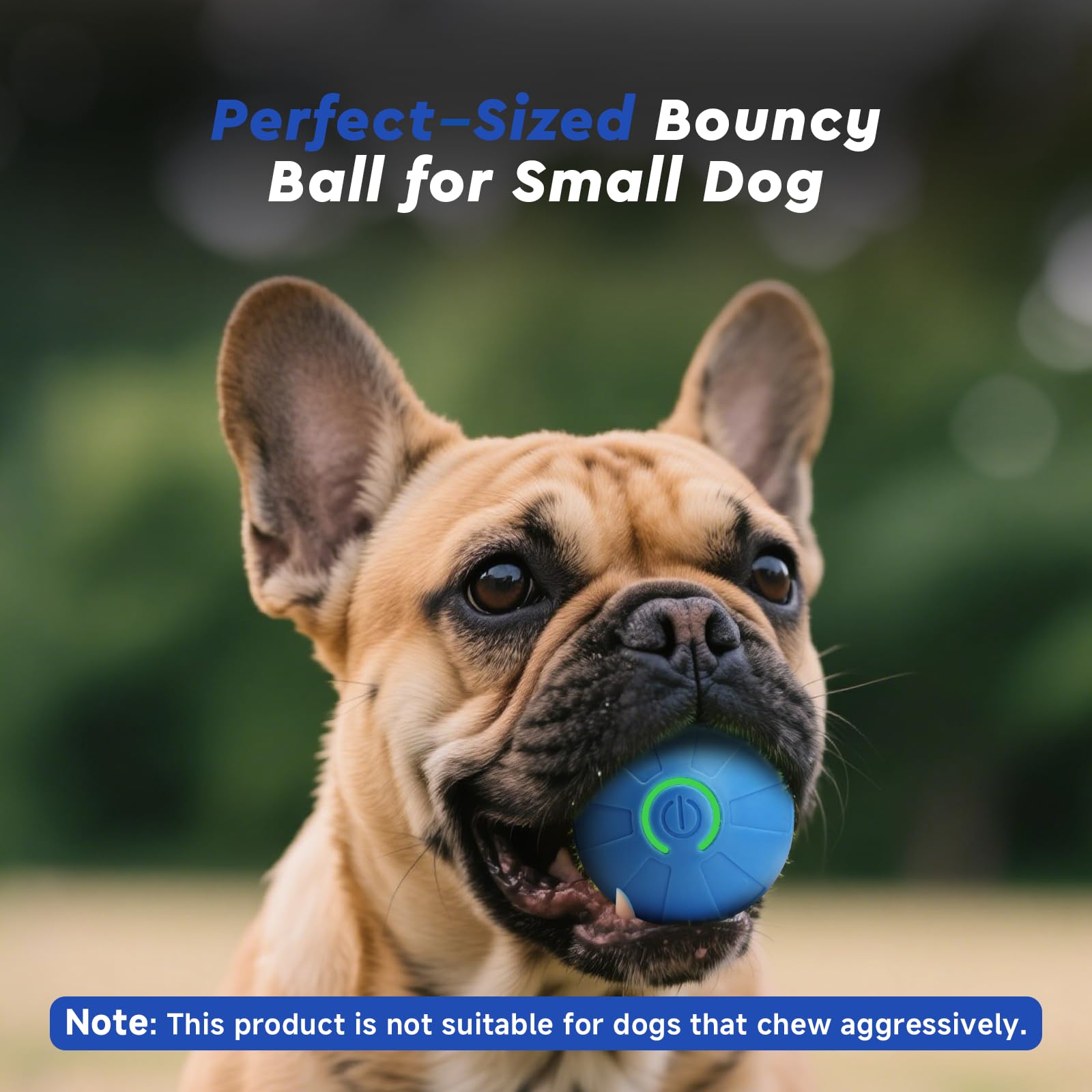 Heeipaw Interactive Cat & Dog Toy Ball, Durable Automatic Teaser Ball, Self-play Smart Pet Toy For Cats And Dogs, Boredom Relief & Iq Training