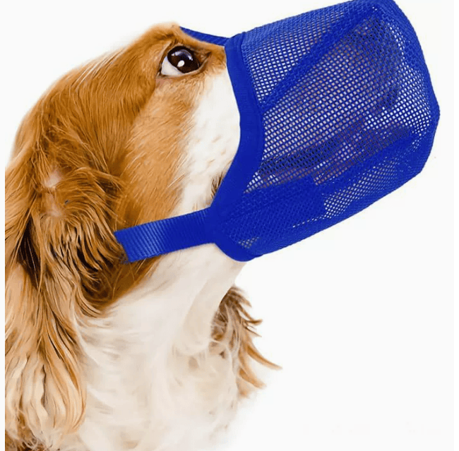 Heeipaw Adjustable Dog Muzzle, Breathable Anti-biting Dog Mouth Guard, Comfortable Pet Muzzle For Barking Control, Chewing Prevention & Safe - Blue - XL ：17cm×17cm×1.5cm - image 8
