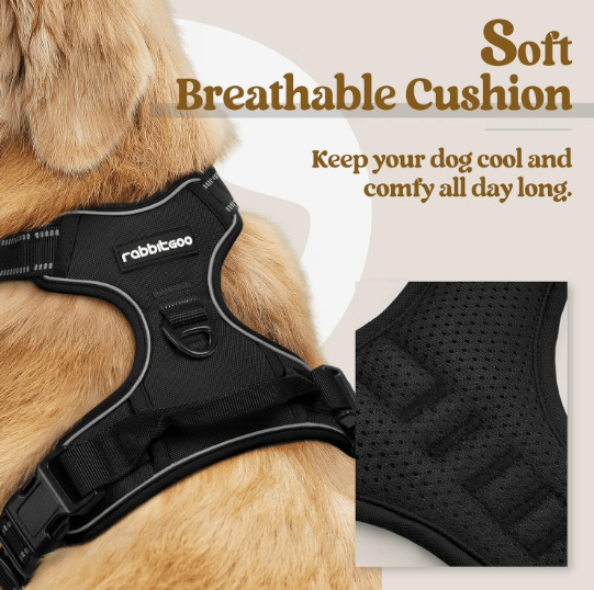Heeipaw Adjustable H-shaped Dog Harness With Leash, No-pull Anti-choke Pet Vest, Breathable Walking Harness For Small, Medium & Large Dogs - image 6