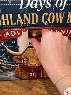 24-Day Highland Cow Advent Calendar