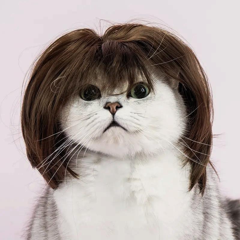 Heeipaw Cute Short Hair Wig Pet Headband, Funny Dog & Cat Costume Accessory, Adorable Pet Photo Prop for Parties and Daily Wear