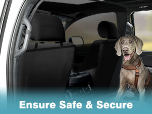 Dog Car Barrier