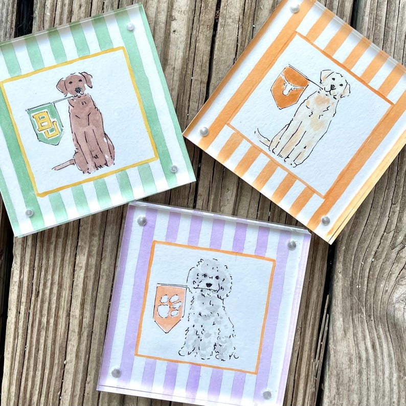 Custom Watercolor Pet Holding College Flag Acrylic Desk Art, Striped Border Personalized Dog Cat Sports Tabletop Decor Plaque