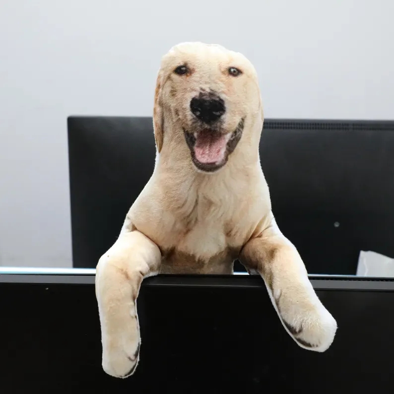 Custom Pet Photo Bendable Plush Doll, Personalized Dog Cat Re-Poseable Funny Pet Portrait Figurine