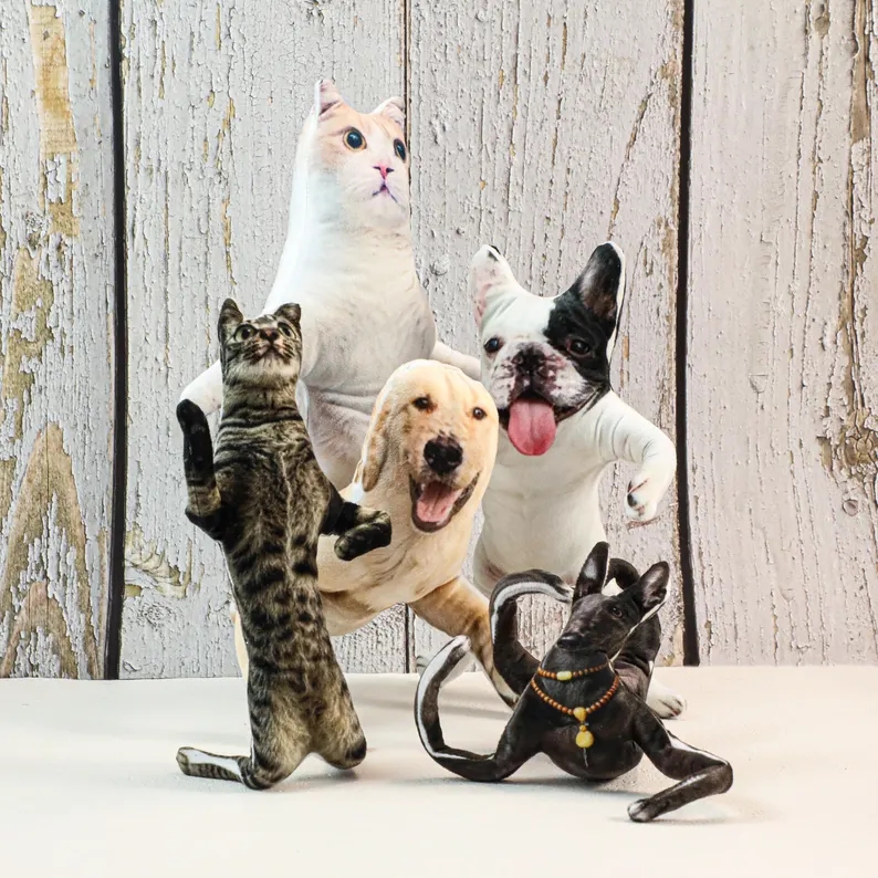 Custom Pet Photo Bendable Plush Doll, Personalized Dog Cat Re-Poseable Funny Pet Portrait Figurine
