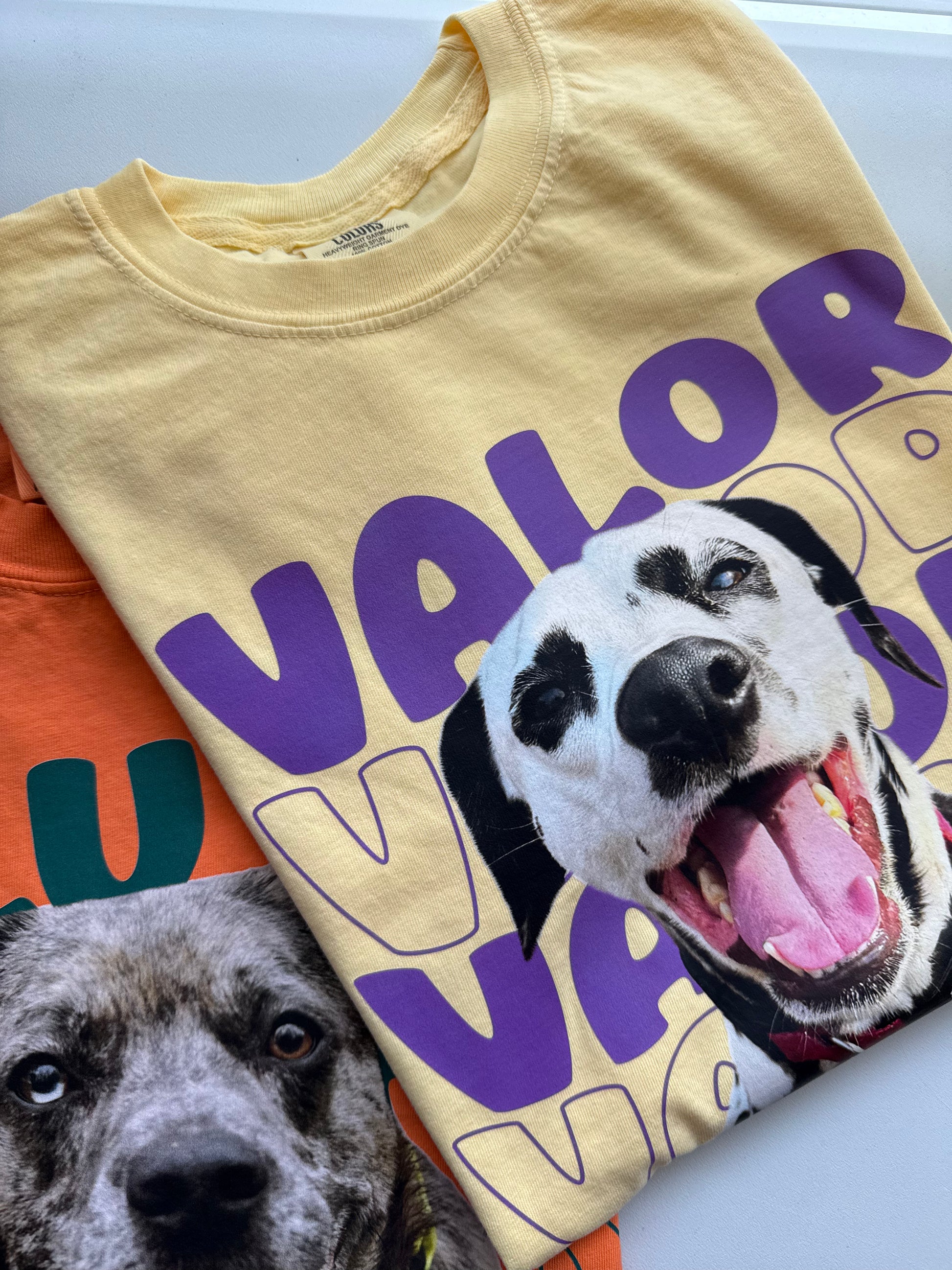 [Copy]Custom Pet Photo Graphic T-Shirt, Personalized Retro Check Striped Pet Portrait Heat Transfer Tee