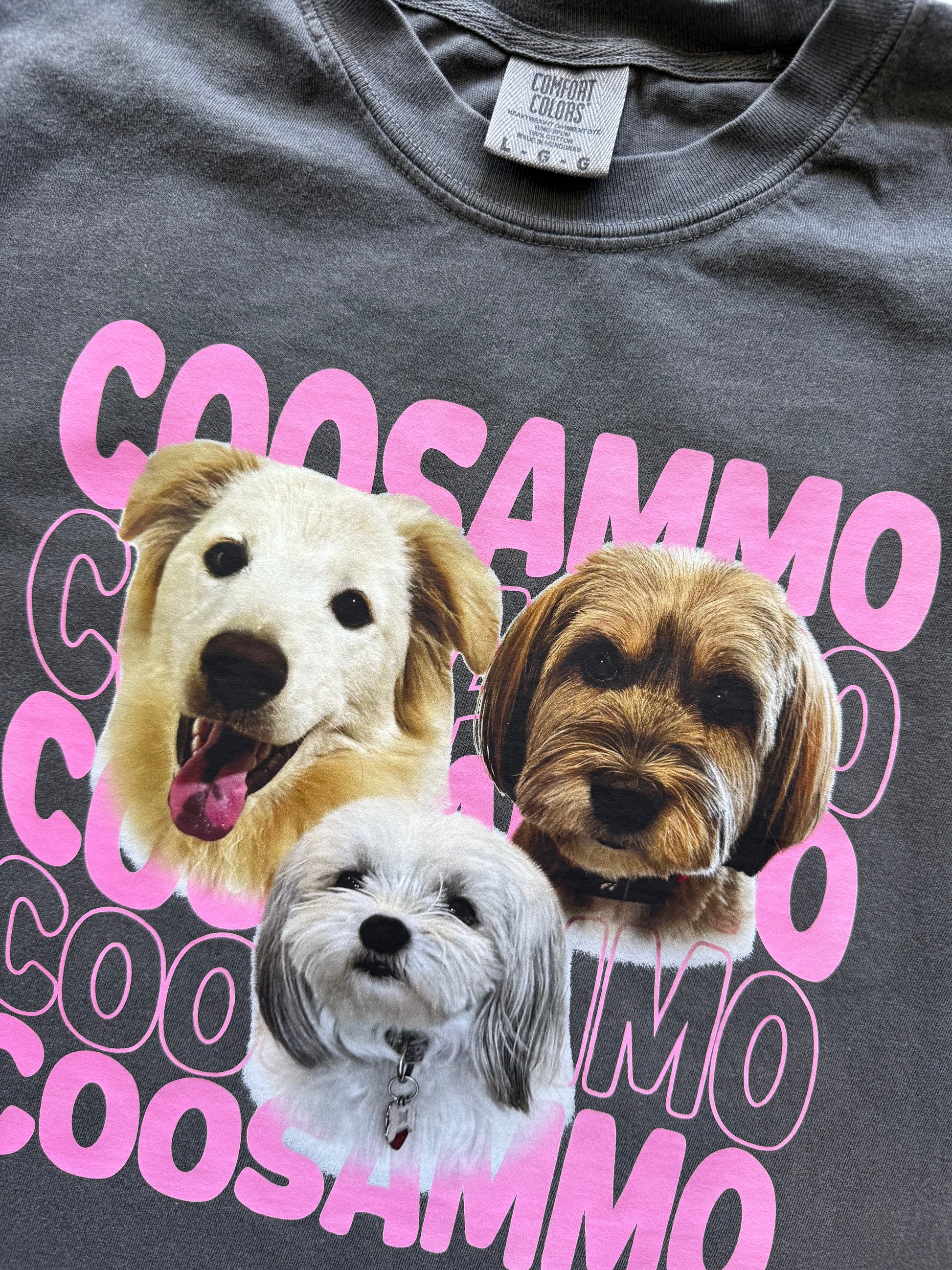 [Copy]Custom Pet Photo Graphic T-Shirt, Personalized Retro Check Striped Pet Portrait Heat Transfer Tee