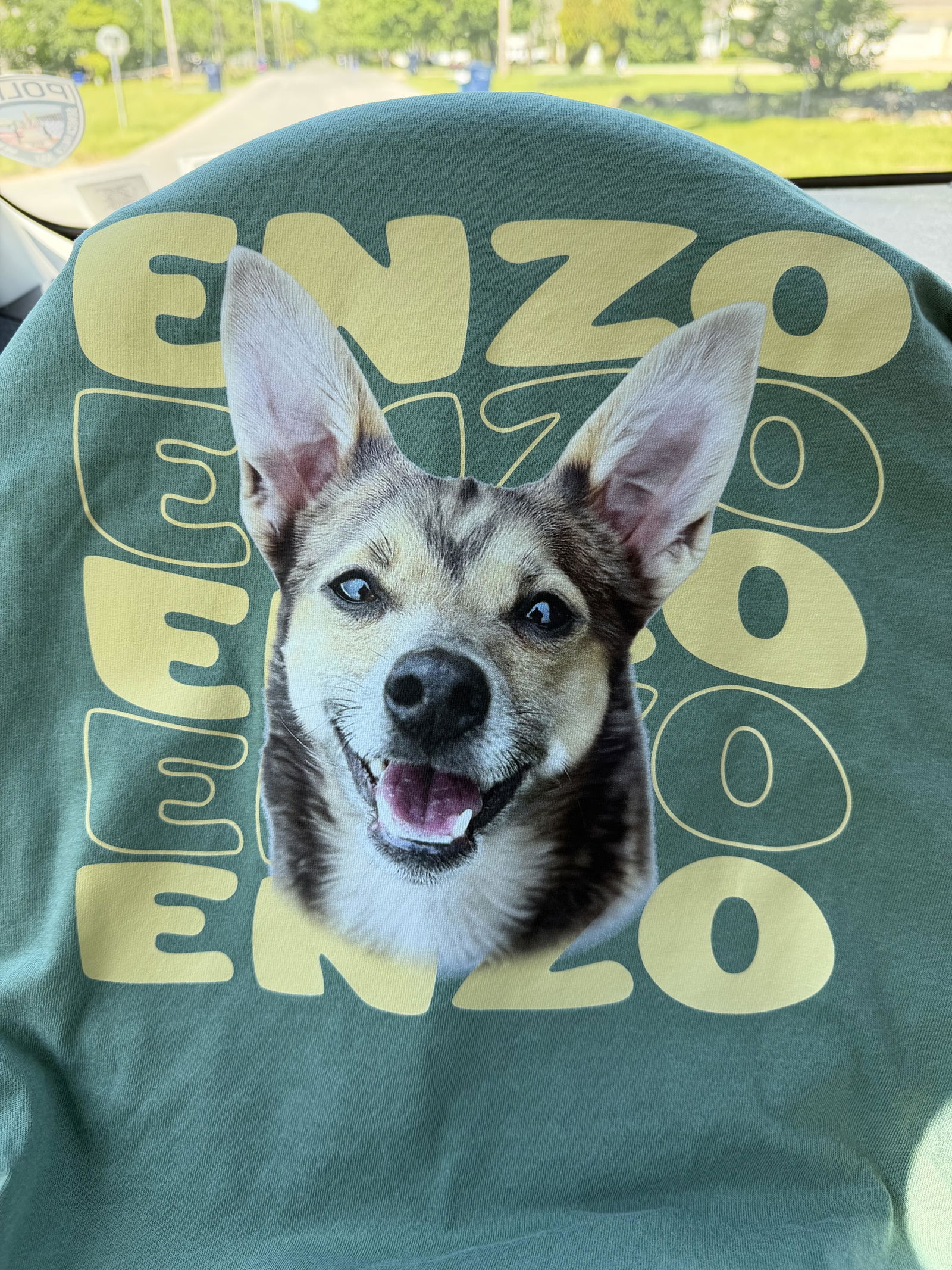 [Copy]Custom Pet Photo Graphic T-Shirt, Personalized Retro Check Striped Pet Portrait Heat Transfer Tee