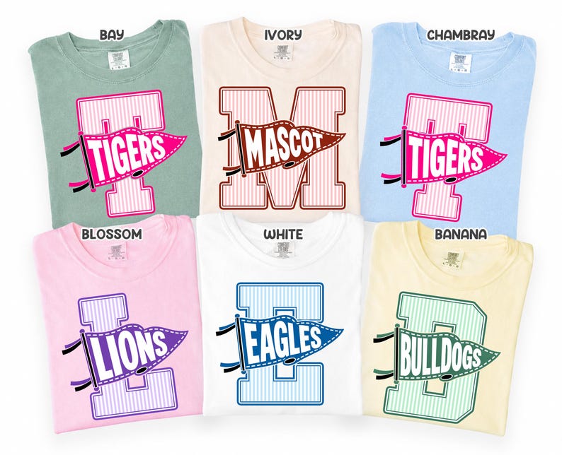Retro Striped Varsity Letter Pennant Apparel