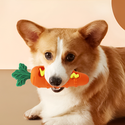Dog Chew-Resistant Teething Toy