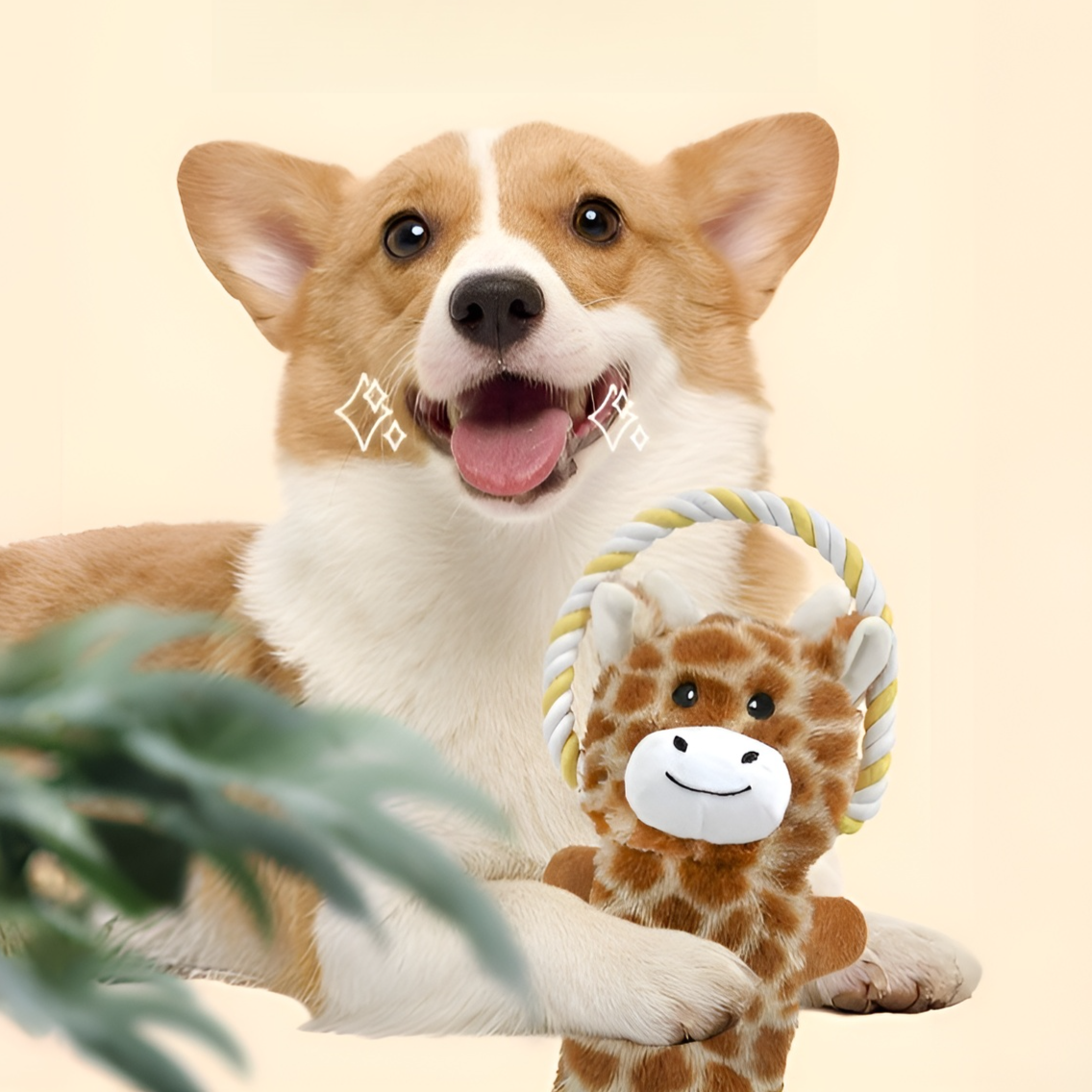 Pet Chew Teeth Cleaning Toy Ball
