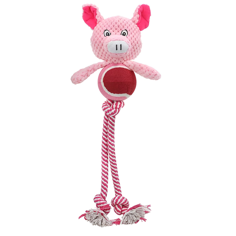 Pet Chew Teeth Cleaning Toy Ball