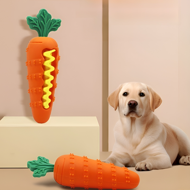Dog Chew-Resistant Teething Toy