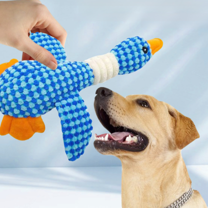 Dog Chew Toy