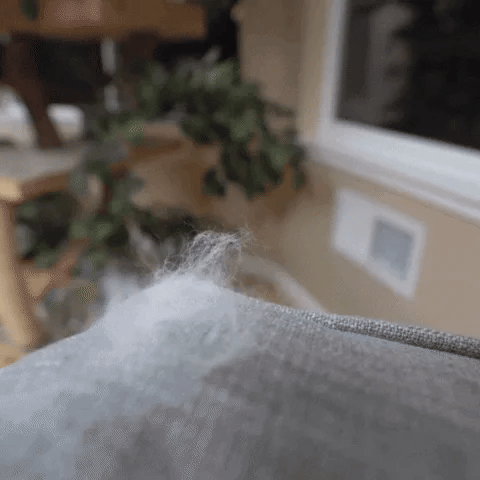 Cat Care Spa Brush