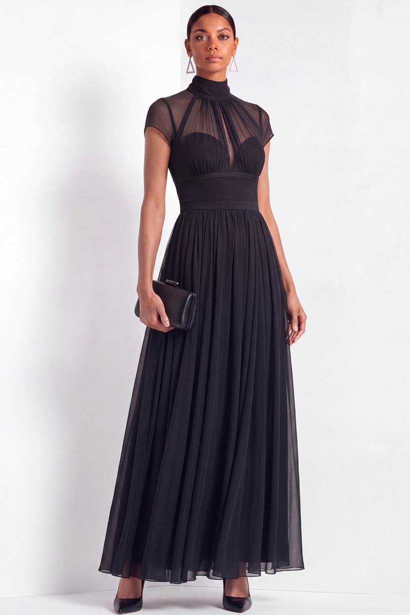 Black Illusion Neck A-Line Pleated Mesh Maxi Dress