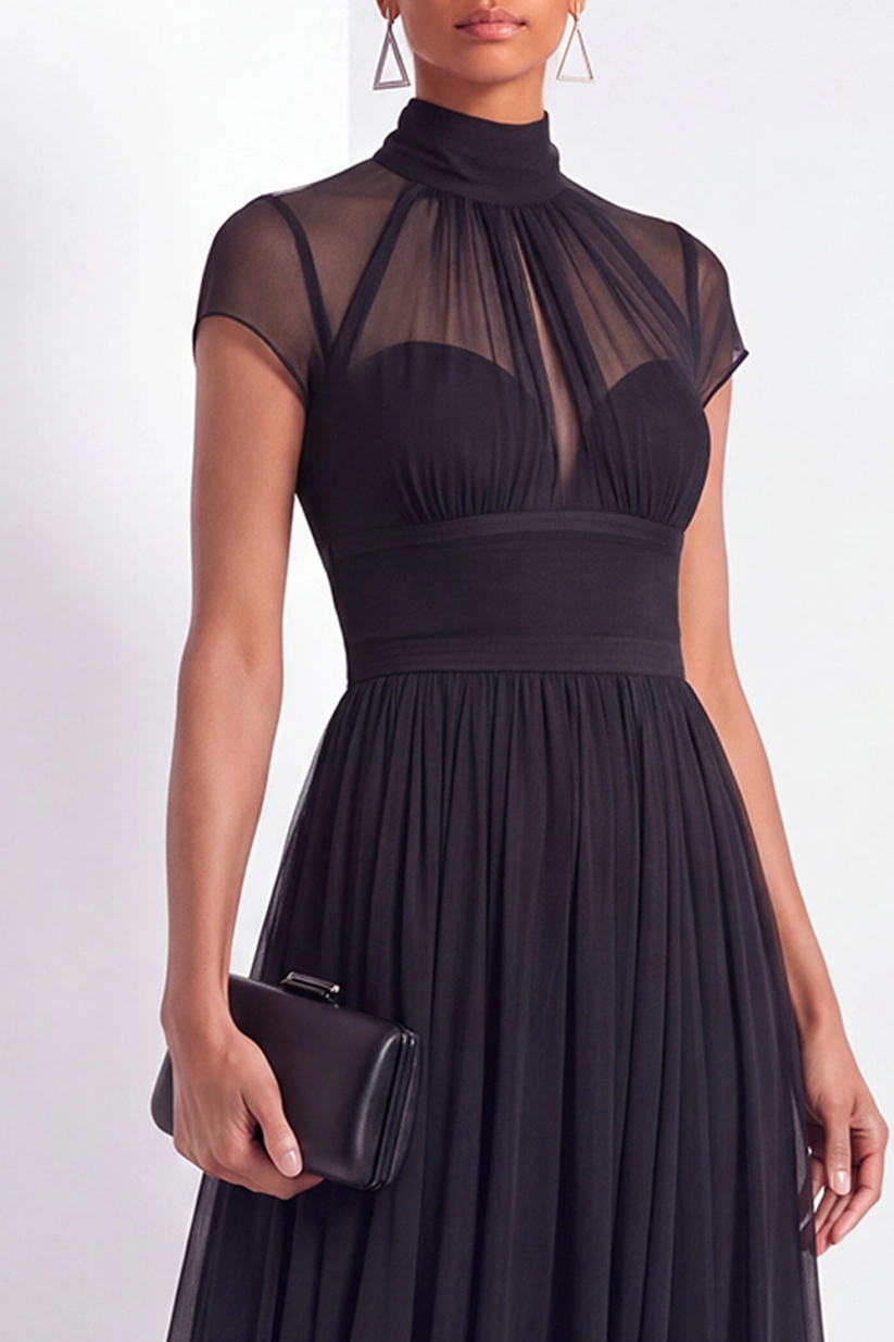 Black Illusion Neck A-Line Pleated Mesh Maxi Dress