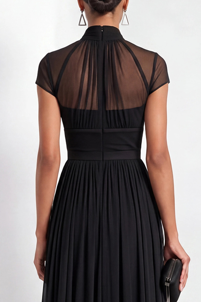 Black Illusion Neck A-Line Pleated Mesh Maxi Dress