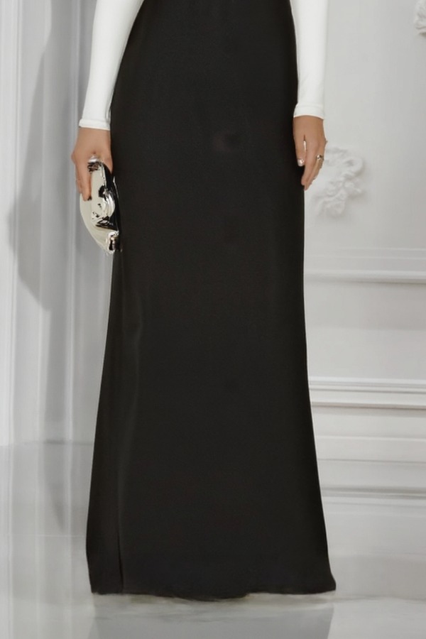 Formal ​Evening Dress Black White Deep V Colorblock Long Sleeve Maxi Dress