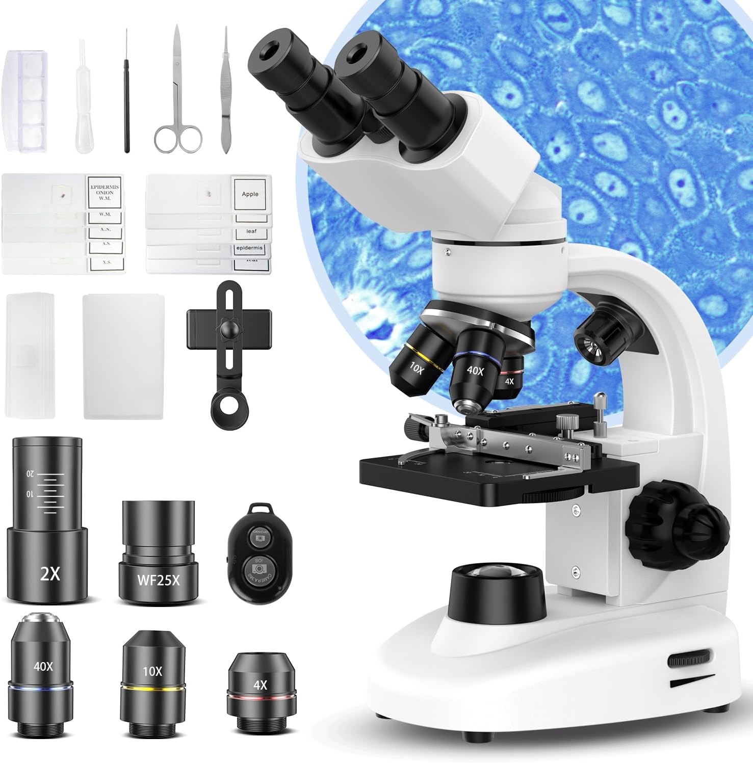 #⏰Last Day to Save🔥 | FREE SHIIPING | TOMLOV DM4W Microscope with Weighing Scale: 4.3" Digital Coin Microscope with Screen, Error Coin Magnifier with Lights, Weight Scale for Collectors, Jeweler, Students, Compatible with Windows/Mac