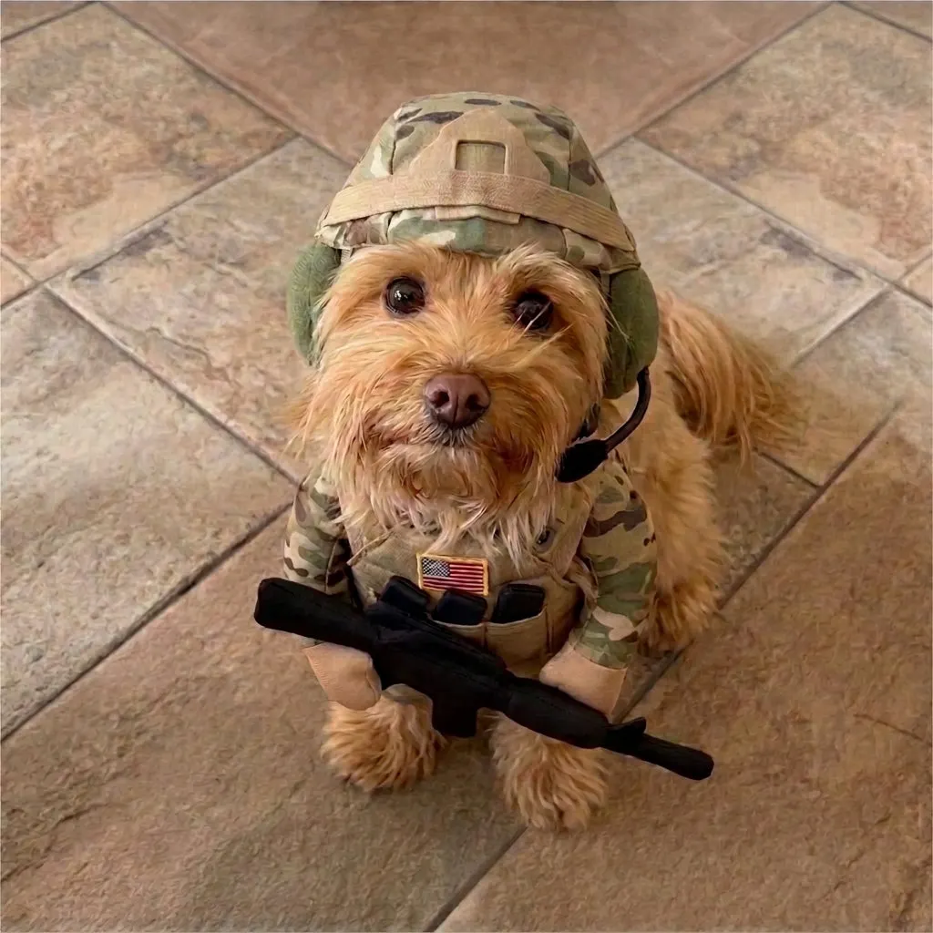 🔥 50% OFF🪖Pet Tactical Soldier Uniform – Military Style Dog Costume