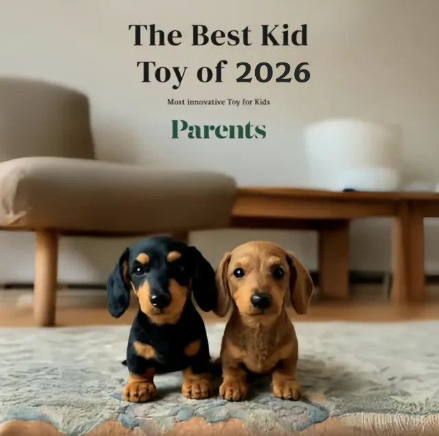 🐶 The Dachys – Emotional Healing on Demand