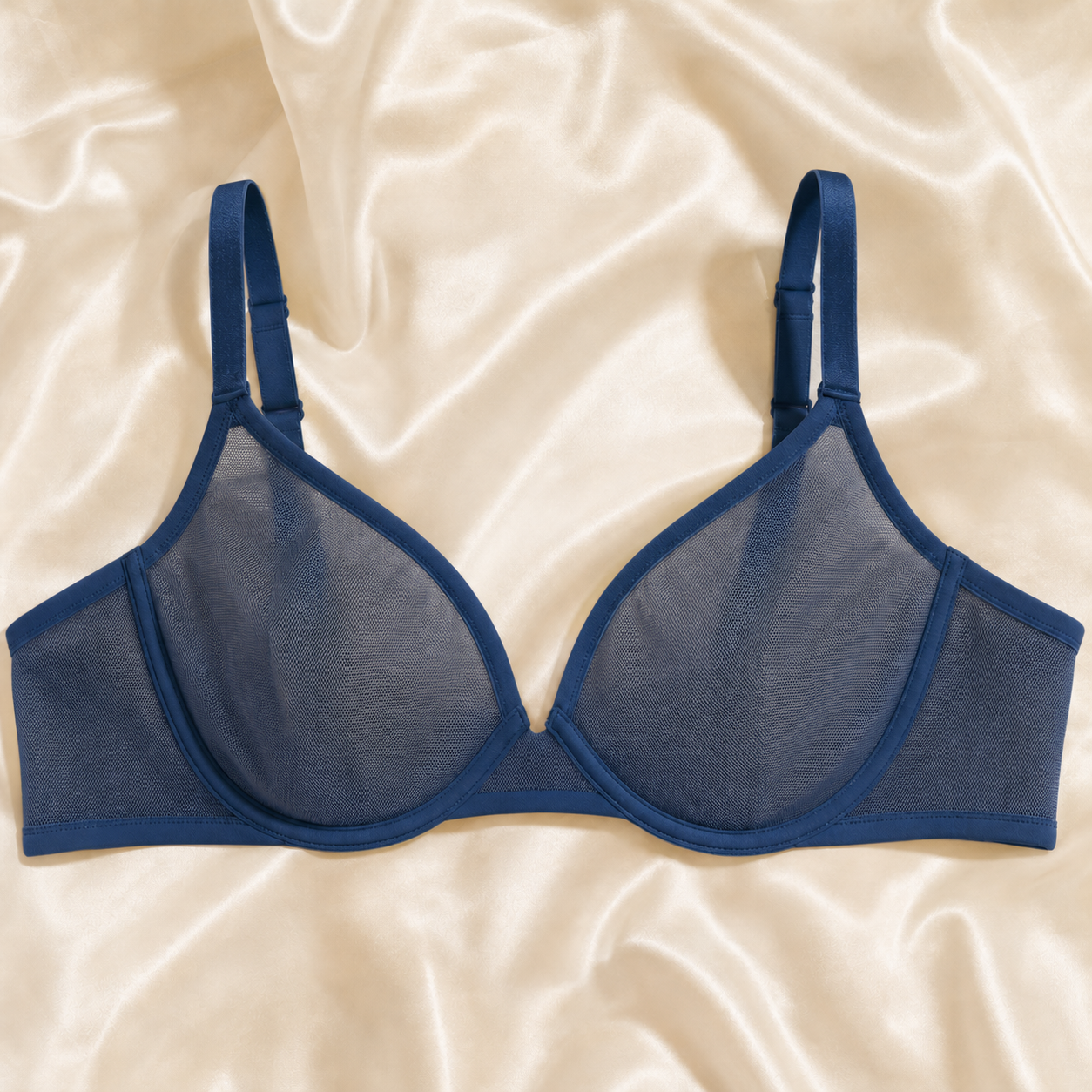 Sheer Mesh Unlined Underwire Bra