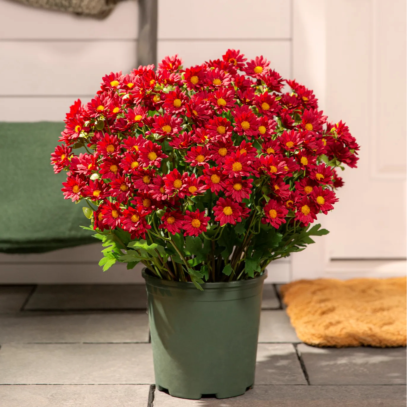 Last Day 70% OFF🌼- Artificial Outdoor Sunset Mums Flowers - UV resistant, Waterproof, Windproof