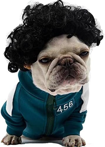 Pet Dog Cosplay Wig, Halloween Costume Headwear for Dogs & Cats