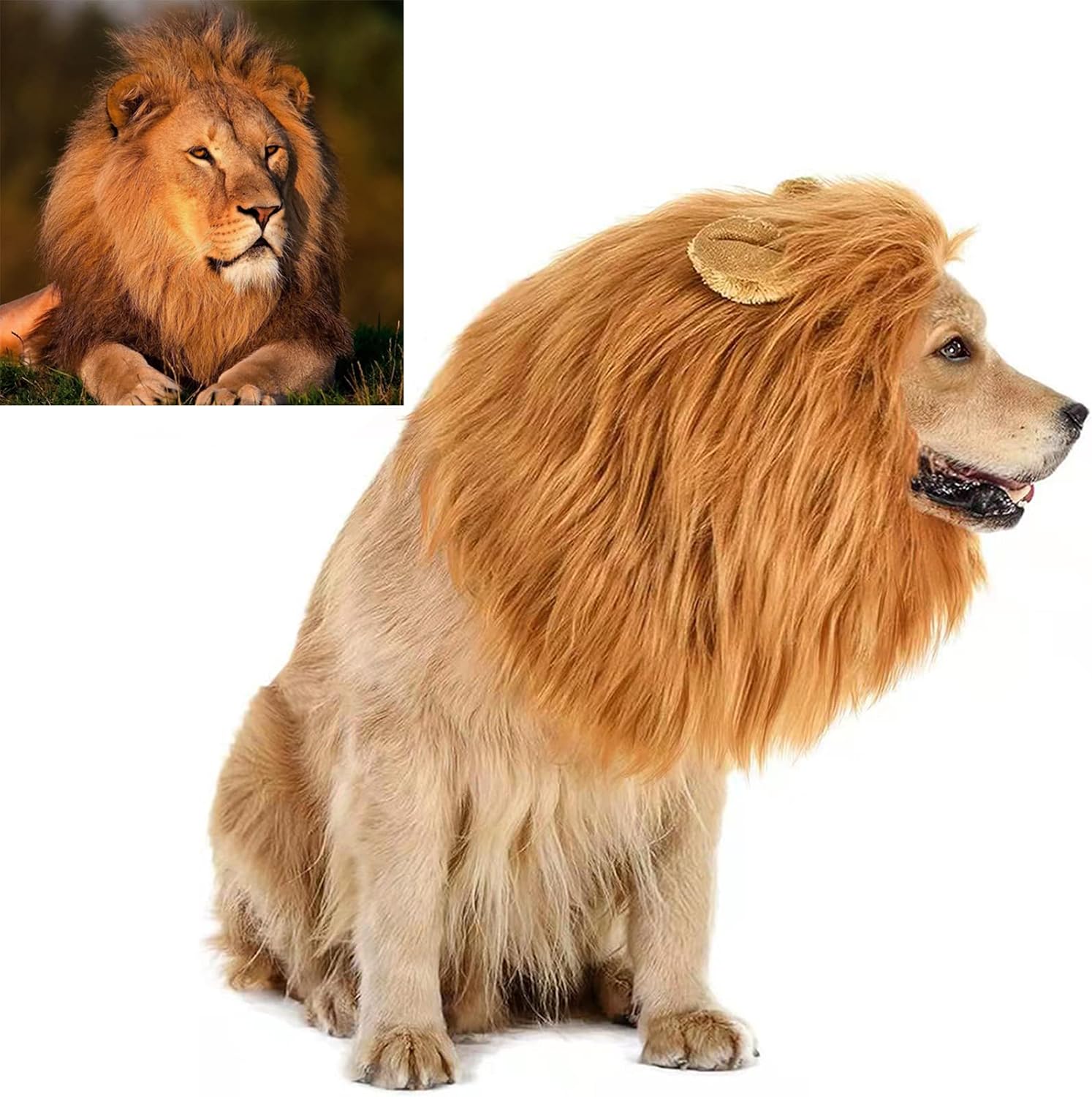 Pet Dog Cosplay Wig, Halloween Costume Headwear for Dogs & Cats