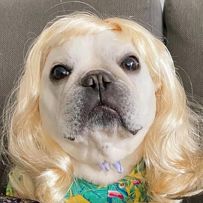 Pet Dog Cosplay Wig, Halloween Costume Headwear for Dogs & Cats